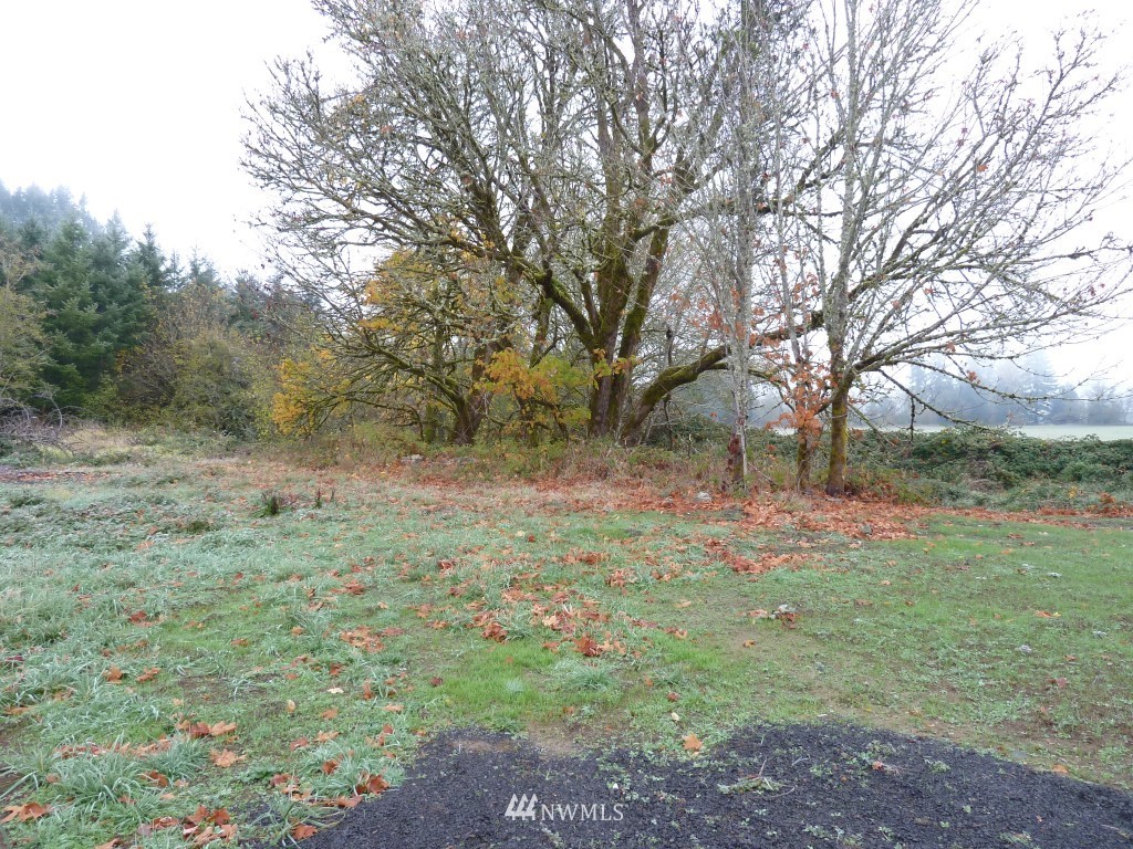 804 Bunker Creek Road Chehalis, WA 98532 - Photo 17 of 22