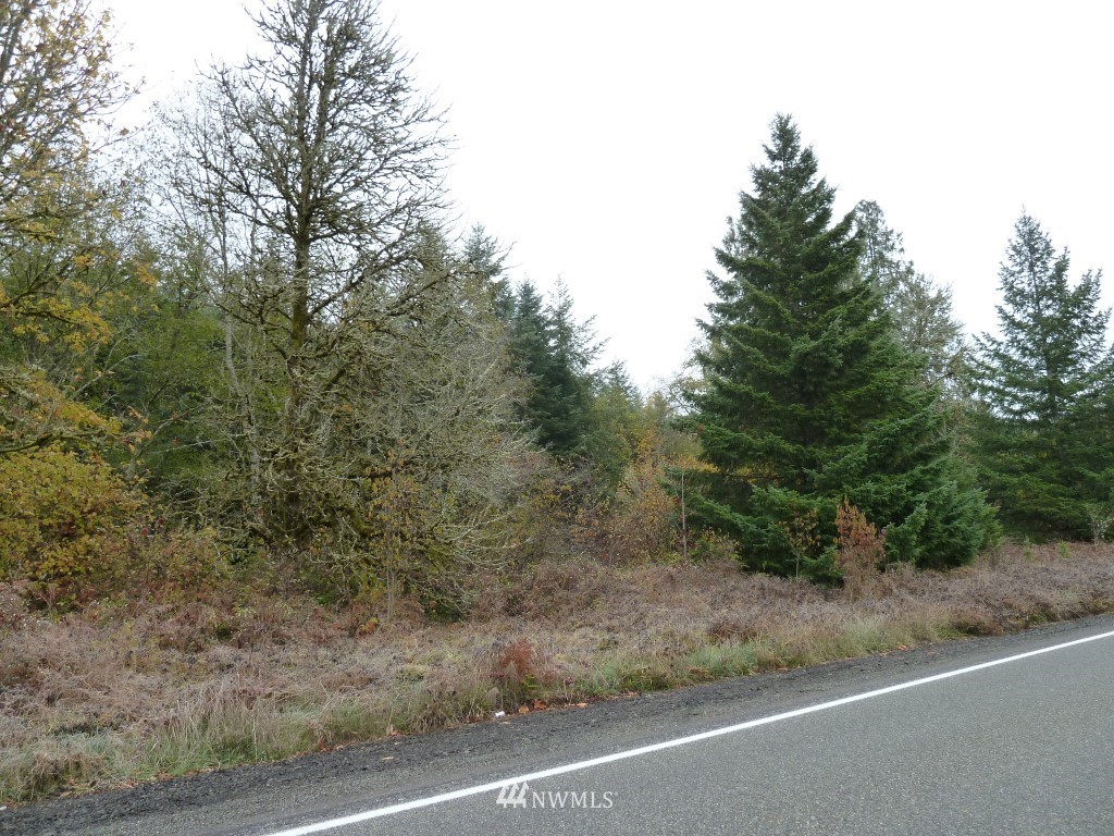 804 Bunker Creek Road Chehalis, WA 98532 - Photo 20 of 22