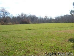 7790 Kunz Road Rochester, IL 62563 - Photo 7 of 12