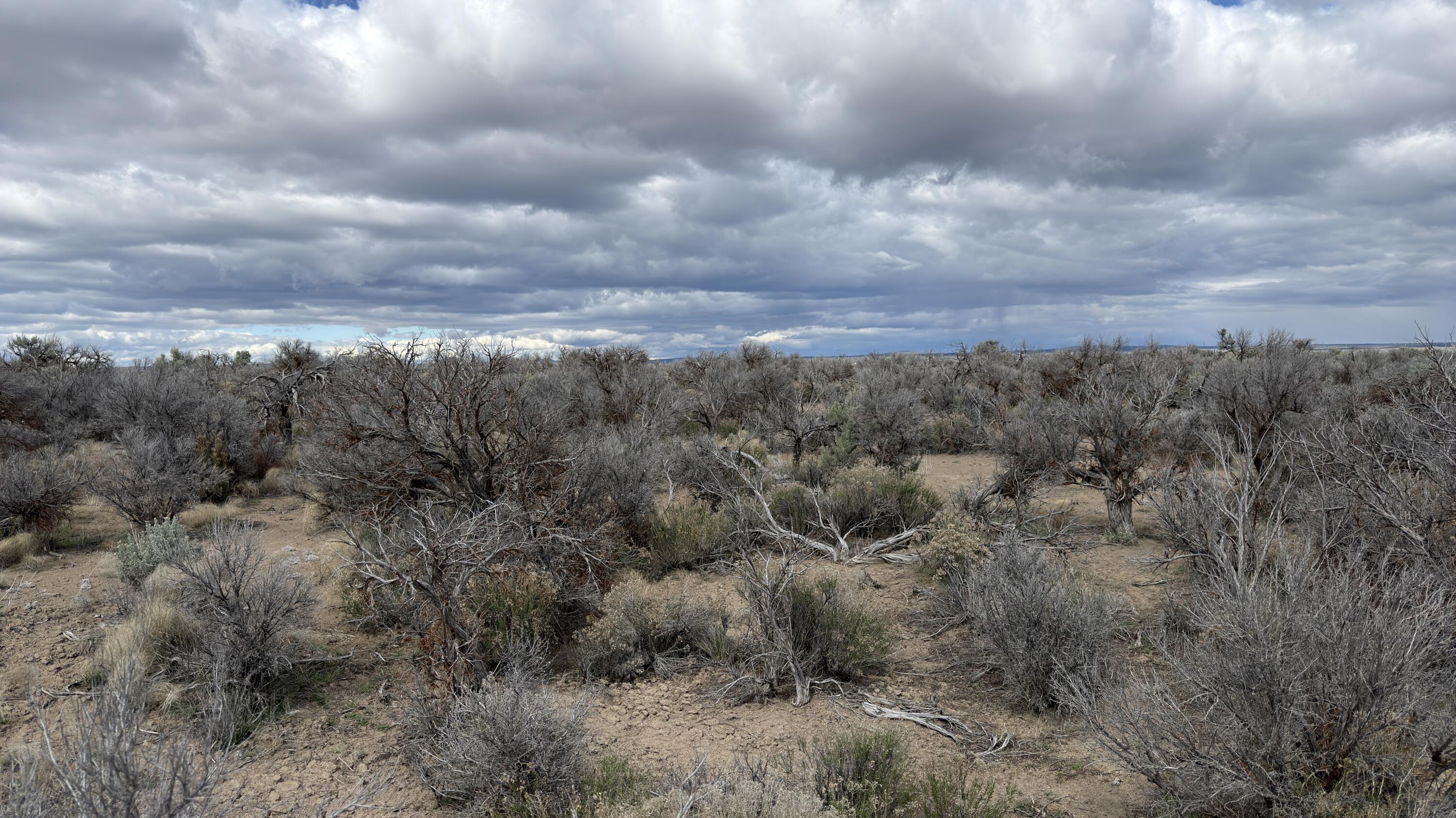 0 Millican Road, Unit 9100 Christmas Valley, OR 97641 - Photo 1 of 1 land