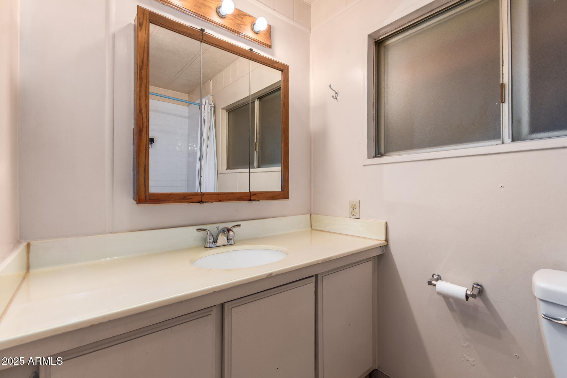 1888 South Goldfield Road Apache Junction, AZ 85119 - Photo 17 of 27 a bathroom with a sink and a mirror