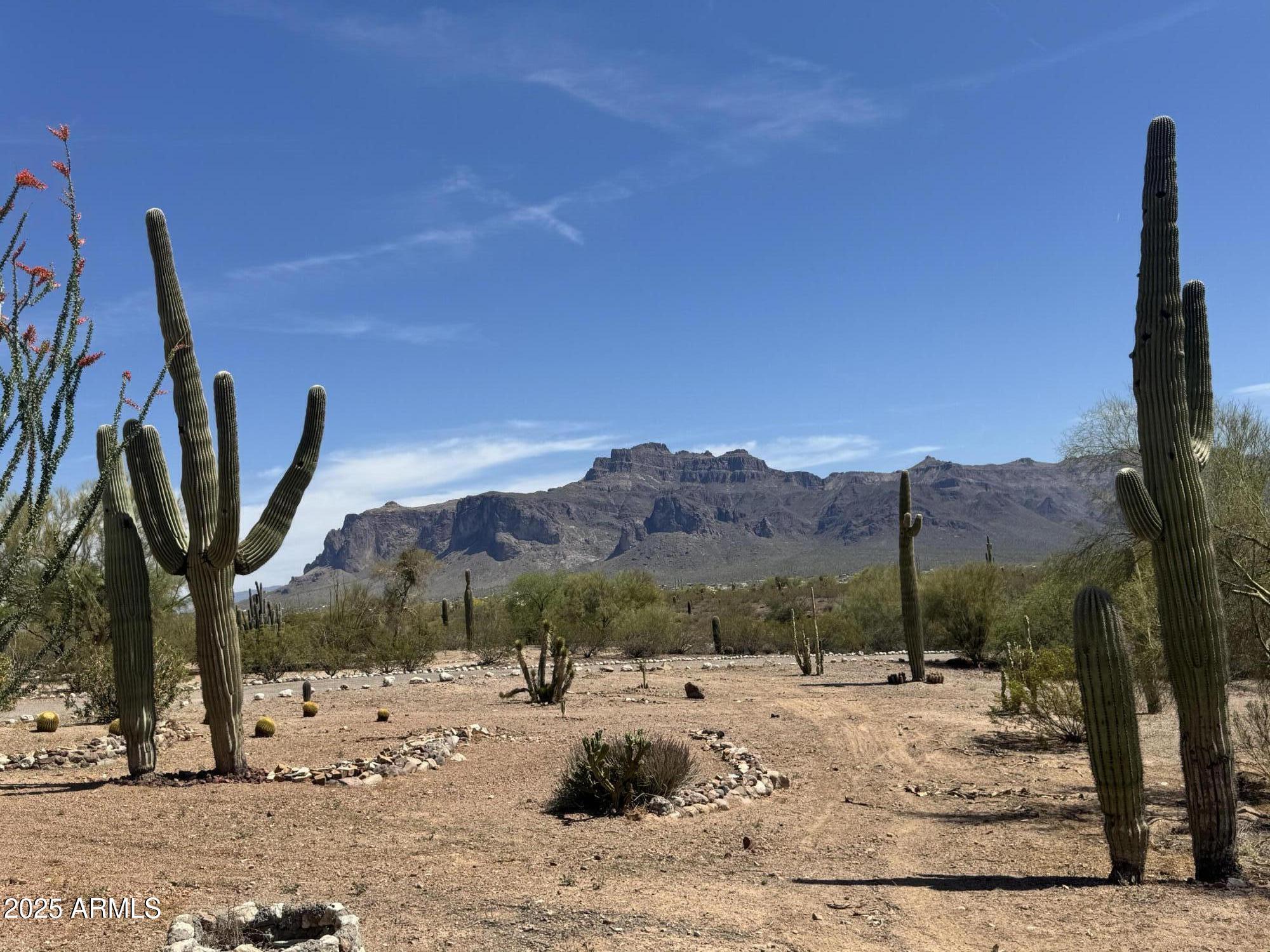 1888 South Goldfield Road Apache Junction, AZ 85119 - Photo 2 of 27 a view of a backyard of a house