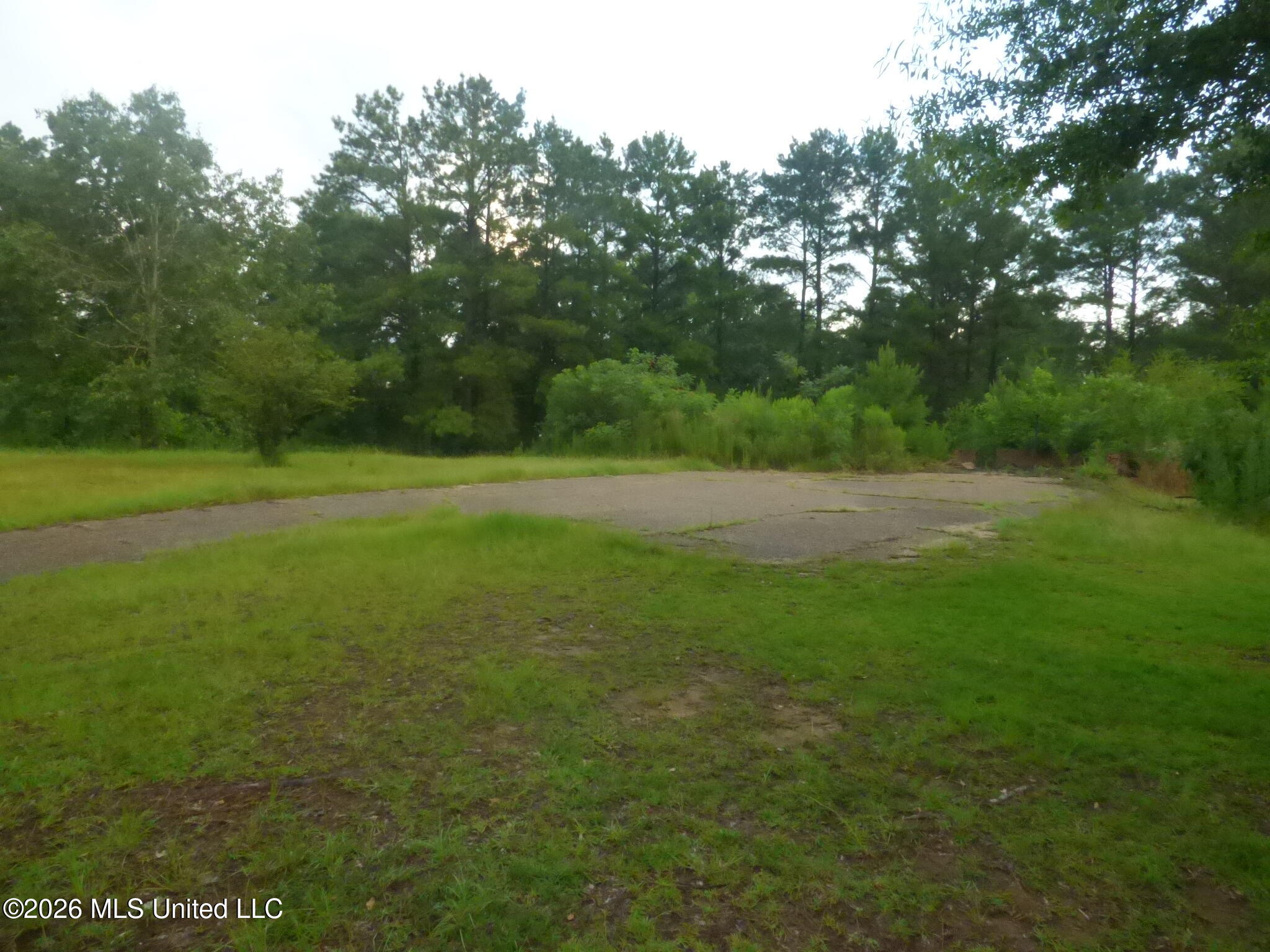 967 Bogue Chitto Road Southeast Bogue Chitto, MS 39629 - Photo 3 of 8 P1350814