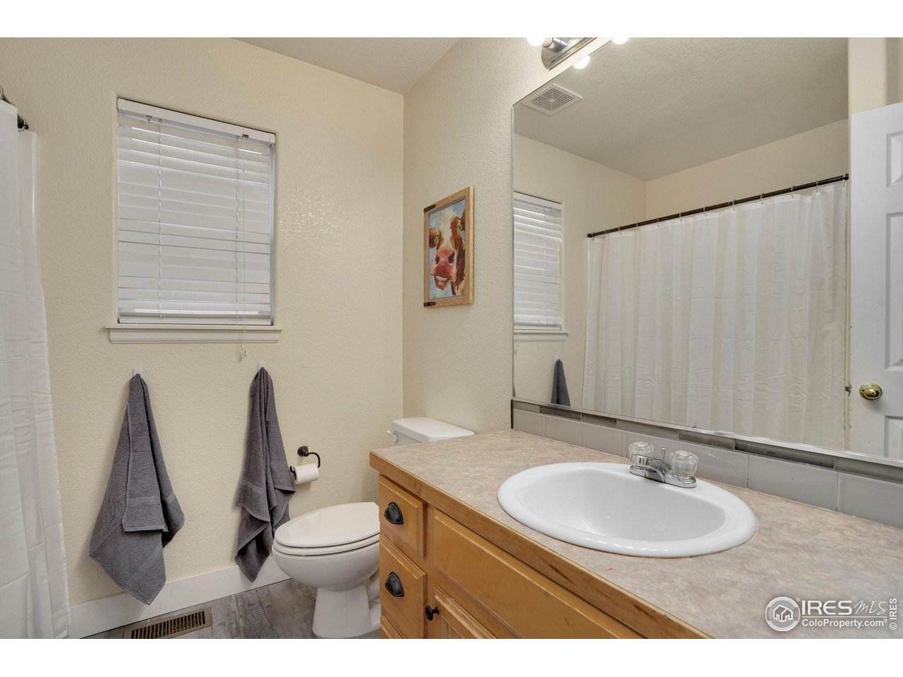 93 Summit View Road Severance, CO 80550 - Photo 12 of 27 a bathroom with a sink a toilet and mirror