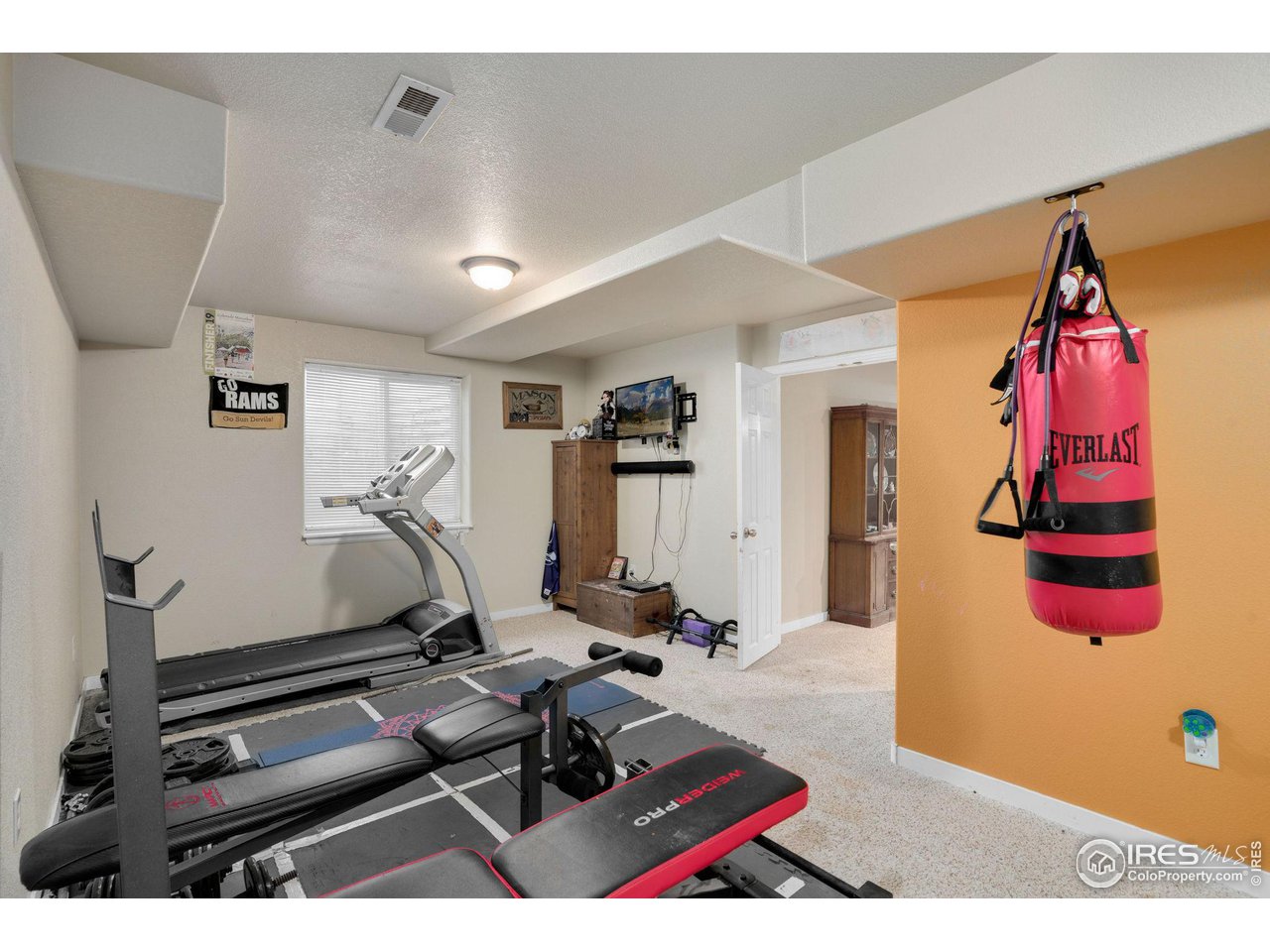 93 Summit View Road Severance, CO 80550 - Photo 17 of 27 a room with gym equipment and a mirror