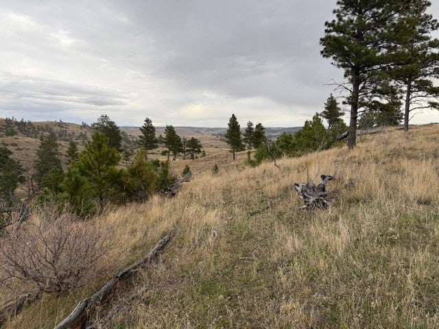 Tbd Brumfield Rd Tbd Brumfield Road Reed Point, MT 59069 - Photo 23 of 24 Gallery Image 23
