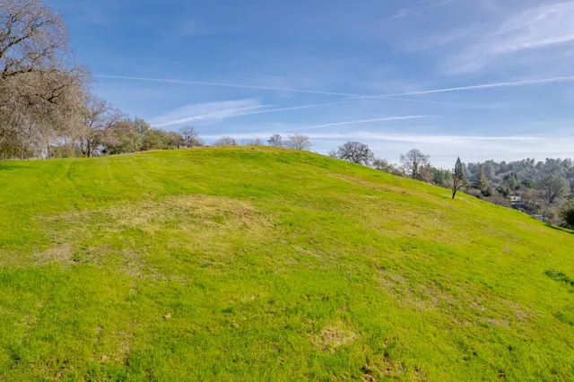 a view of a large body of water with a large tree