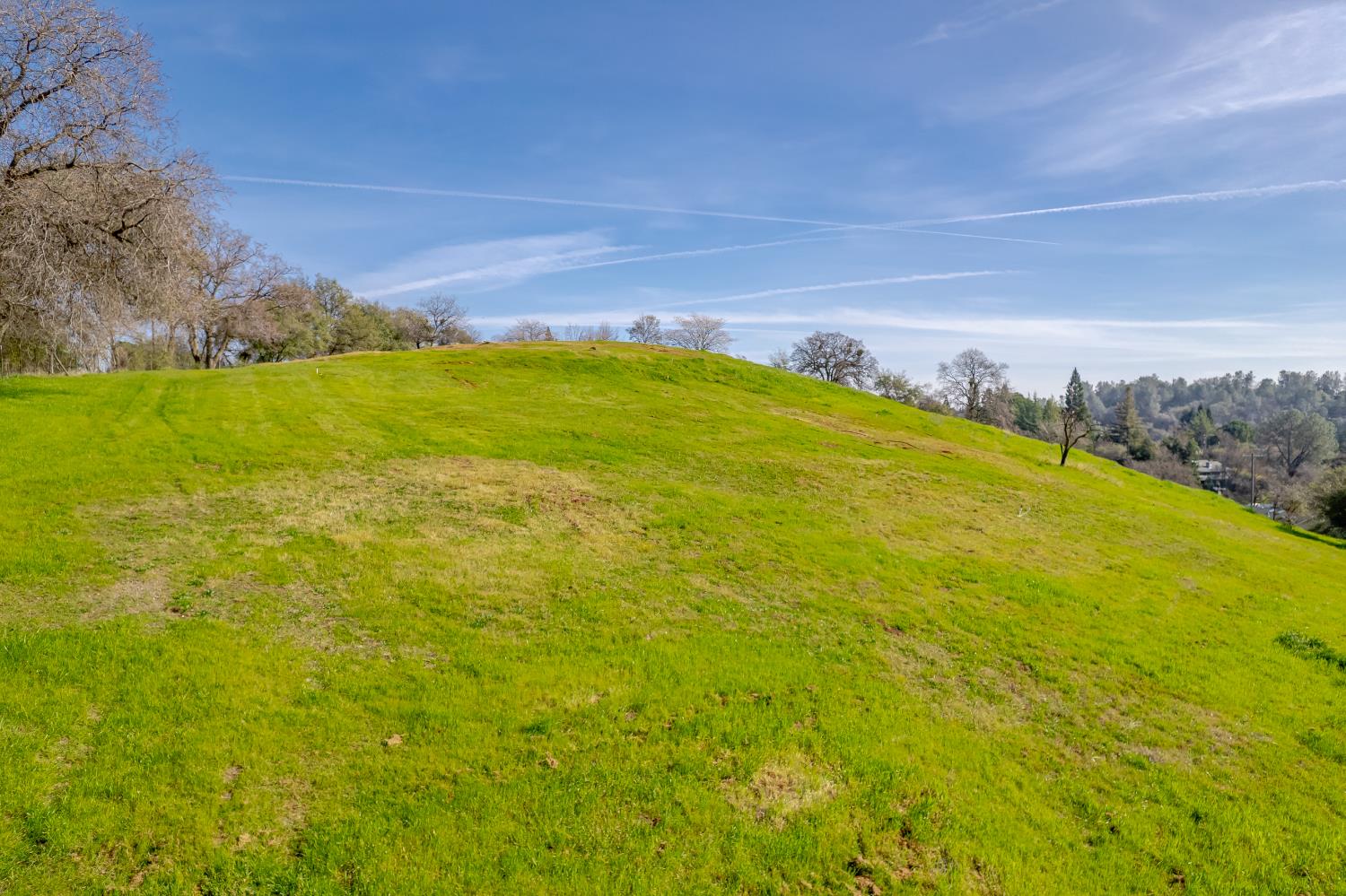 0 Ridge Newcastle Ca Newcastle, CA 95658 - Photo 6 of 16 a view of a large body of water with a large tree