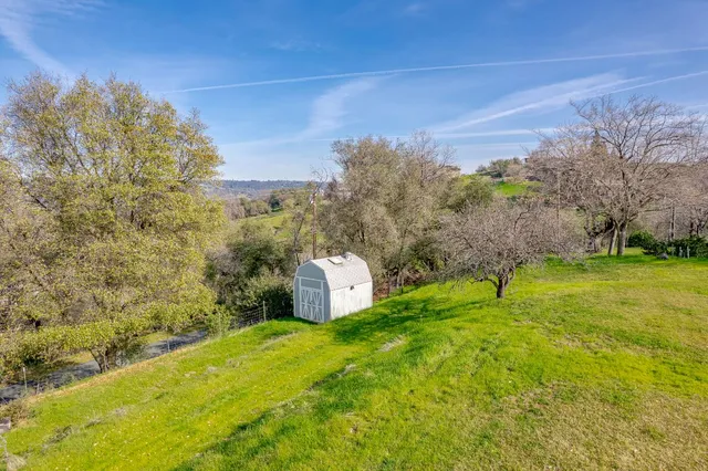 a view of a yard with large trees