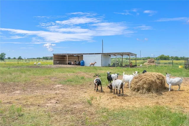 a view of a lake with lawn chairs and front view of a lake