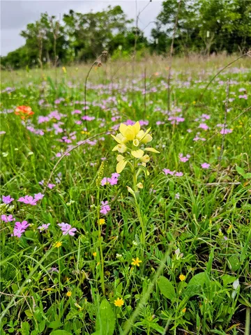 $1,882,000 | 2970 County Road 270, Cameron, TX 76520