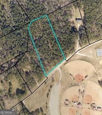 0 Old Union Point Road Union Point, GA 30669 - Photo 1 of 1