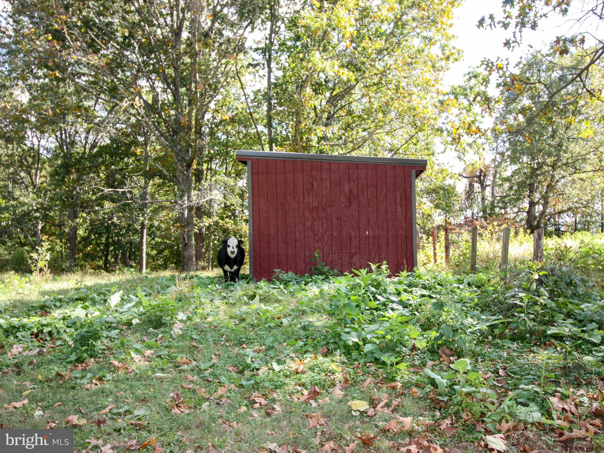 4805 Fiery Run Road Hume, VA 22639 - Photo 26 of 29 Gallery Image 26