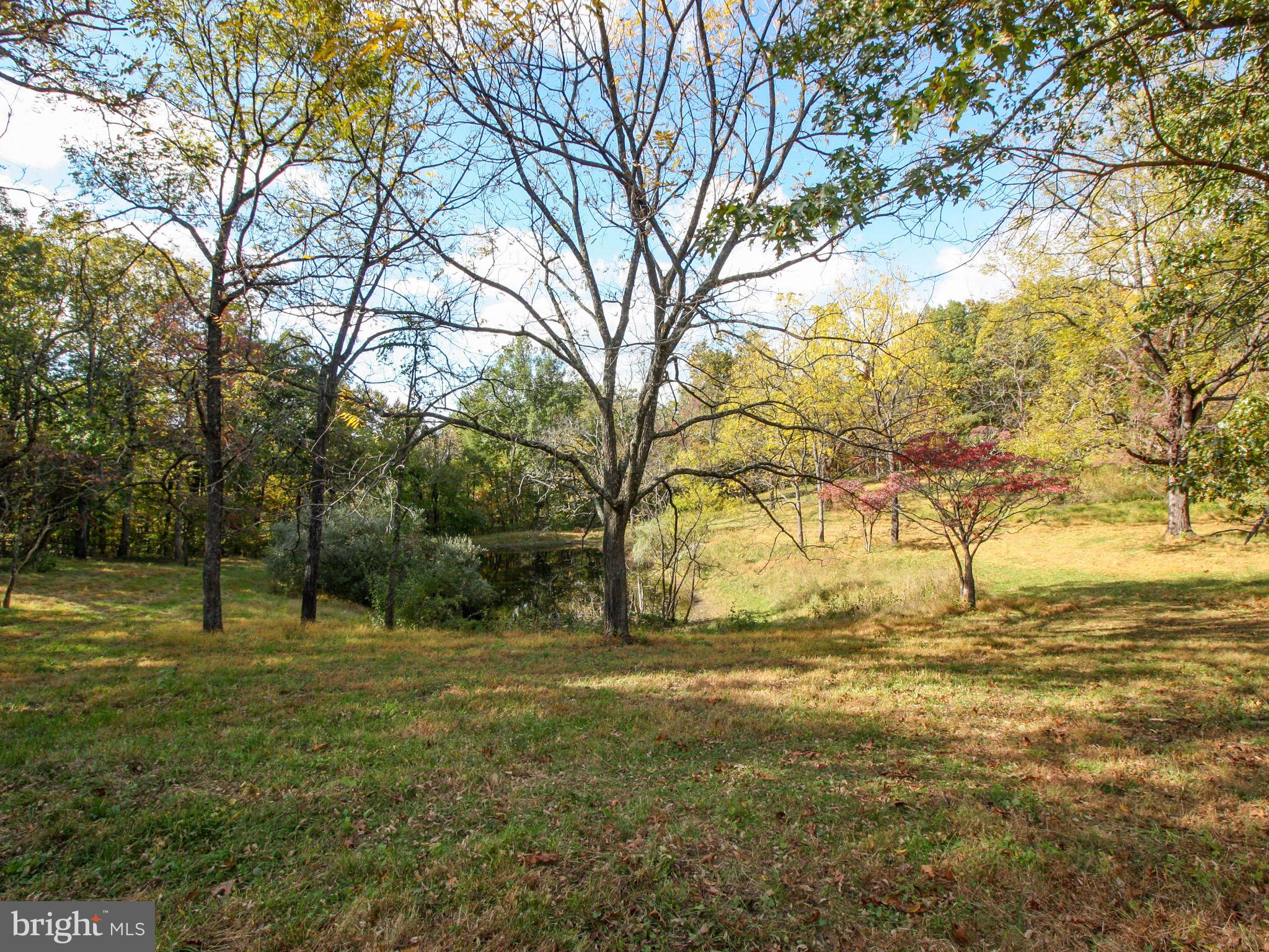 4805 Fiery Run Road Hume, VA 22639 - Photo 28 of 29 Gallery Image 28