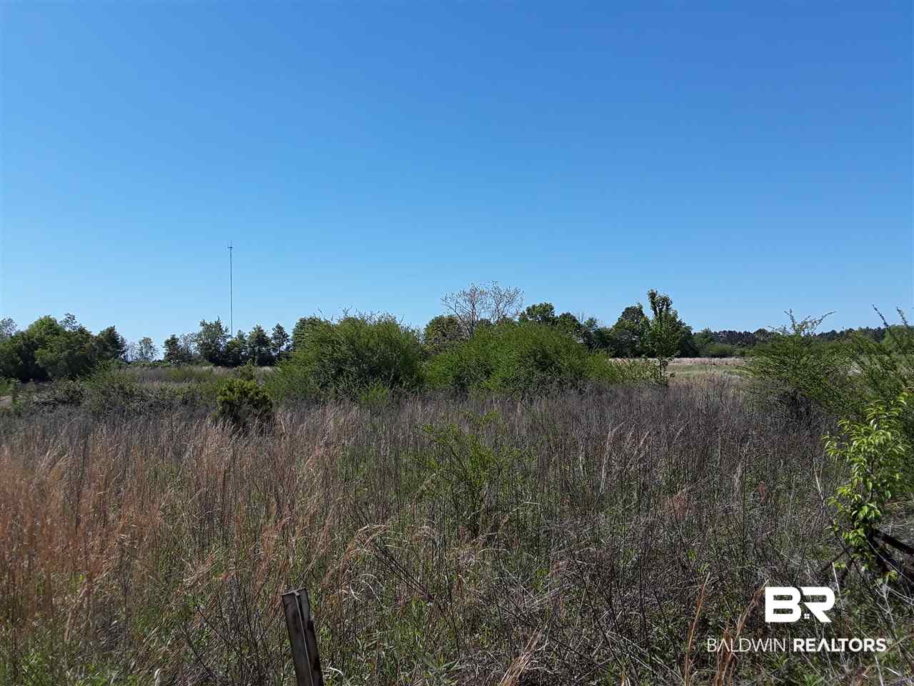 0 County Road 68 Extension Robertsdale, AL 36567 - Photo 7 of 9
