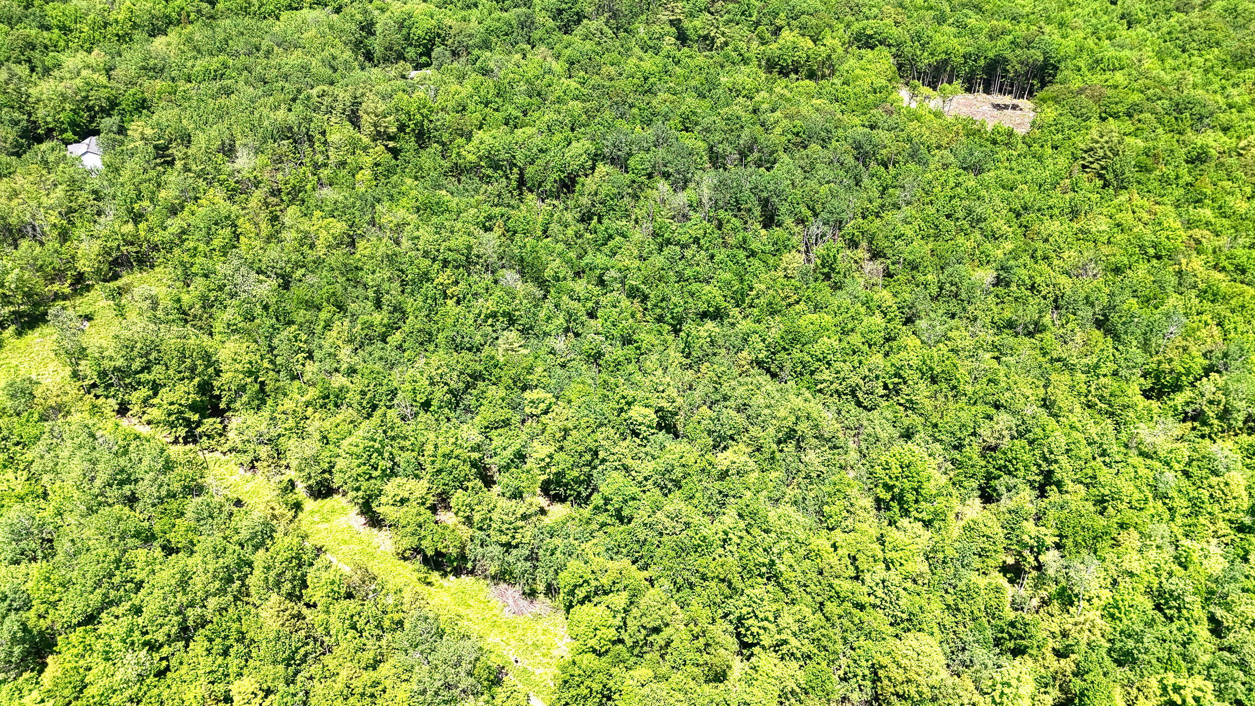 0 Macomber Road Readfield, ME 04355 - Photo 17 of 61 149-Z4LWJYW--DP-104