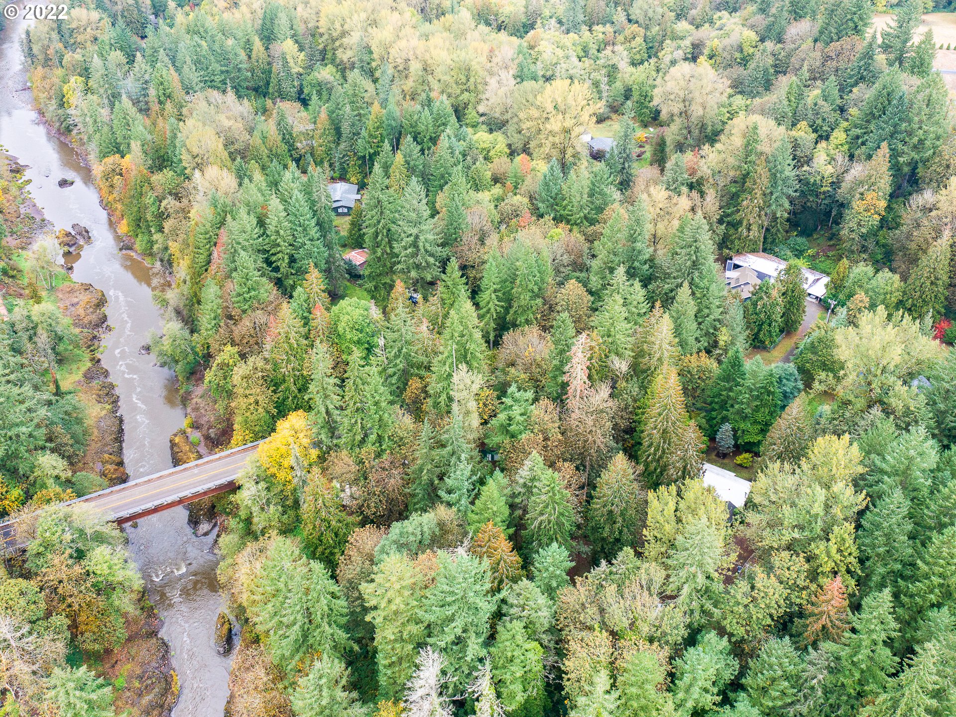 15910 Southeast Ten Eyck Road Sandy, OR 97055 - Photo 5 of 32 a view of a house with a lush green forest