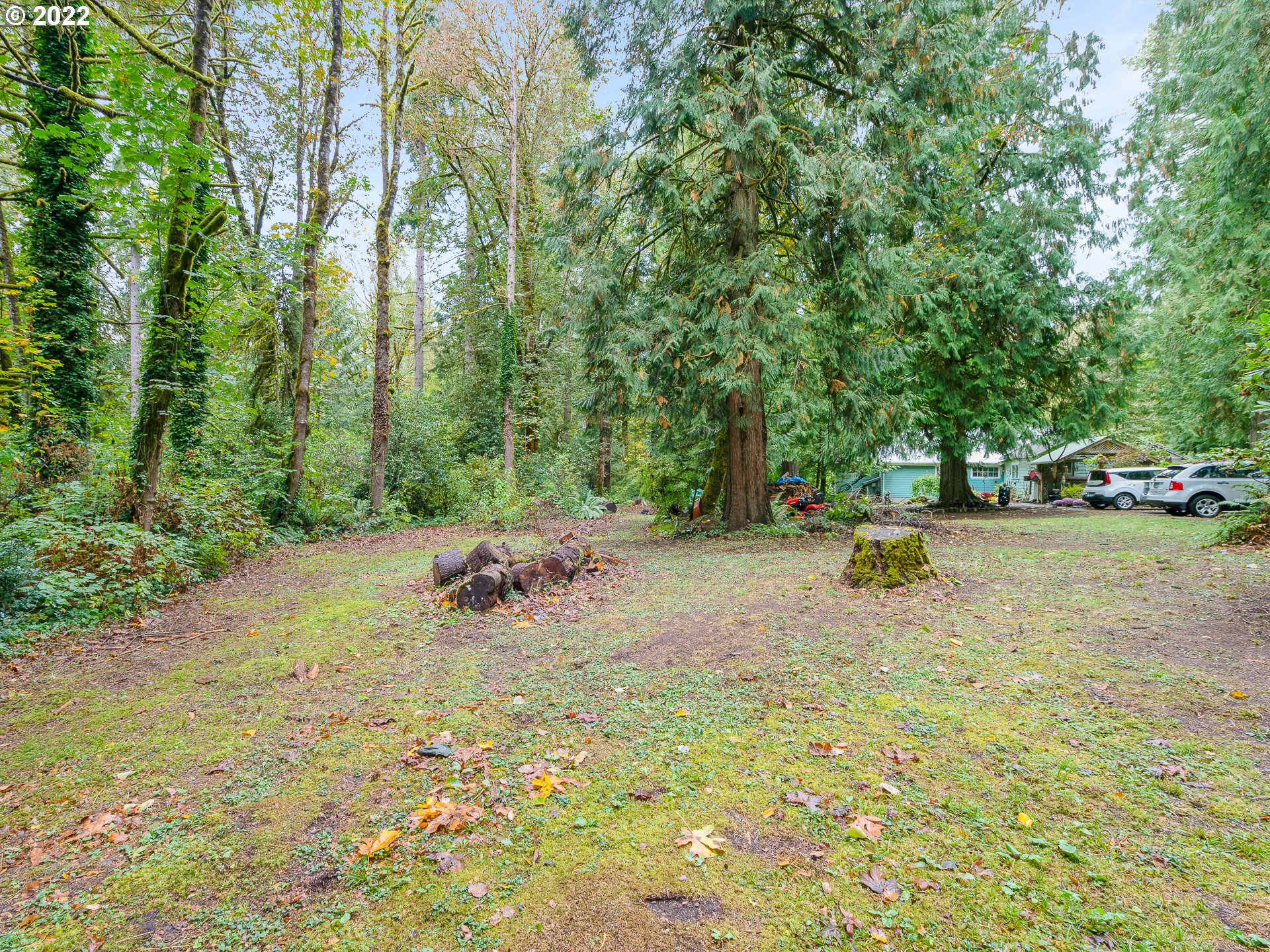 15910 Southeast Ten Eyck Road Sandy, OR 97055 - Photo 8 of 32 a view of a park with large trees