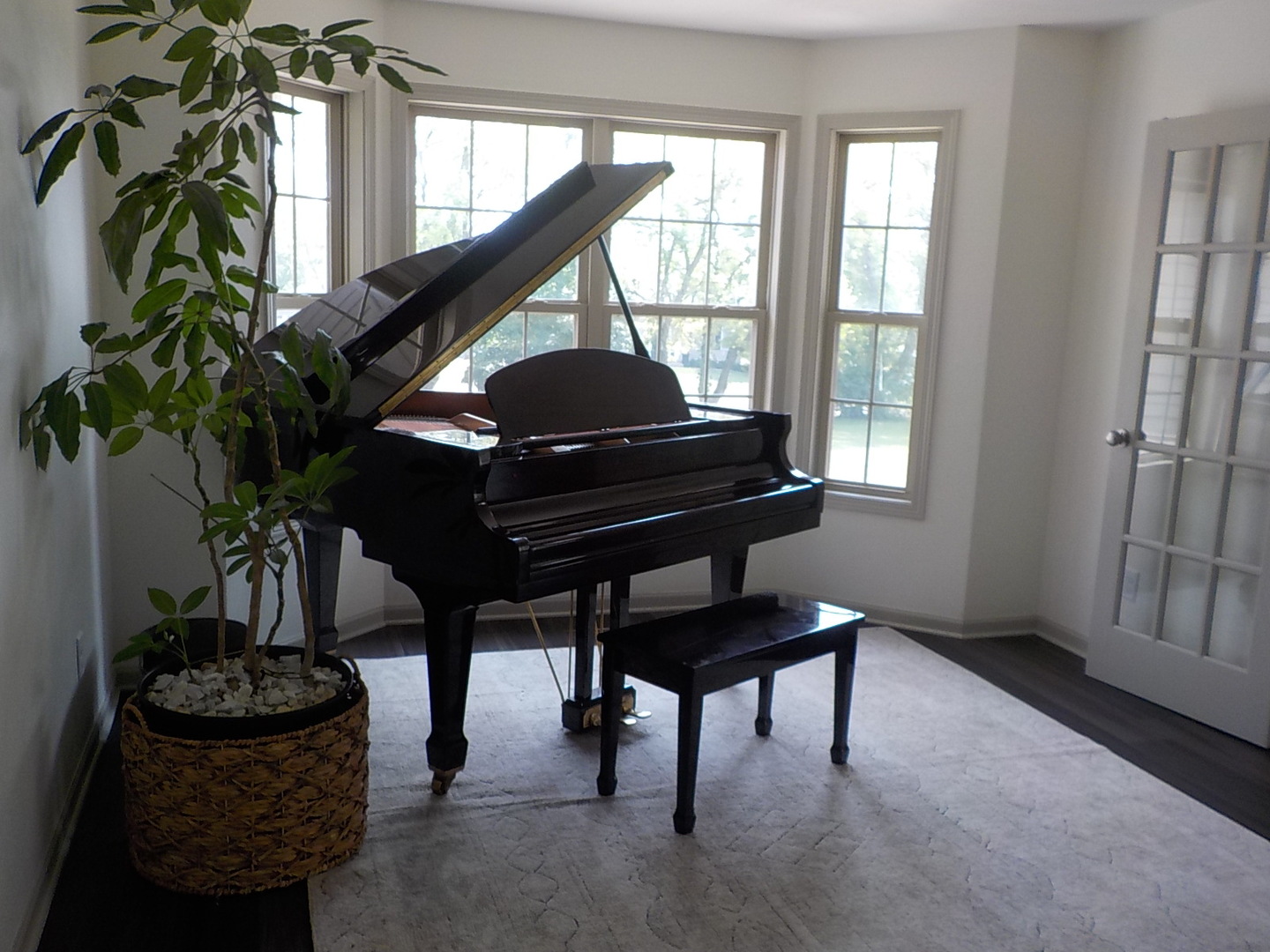 4412 Ridgeview Lane Byron, IL 61010 - Photo 15 of 35 a living room with furniture and a piano