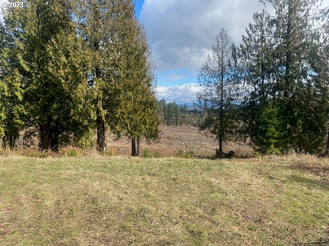 Callahan, Unit 27 Scappoose, OR 97056 - Photo 8 of 9 a view of a yard with a tree