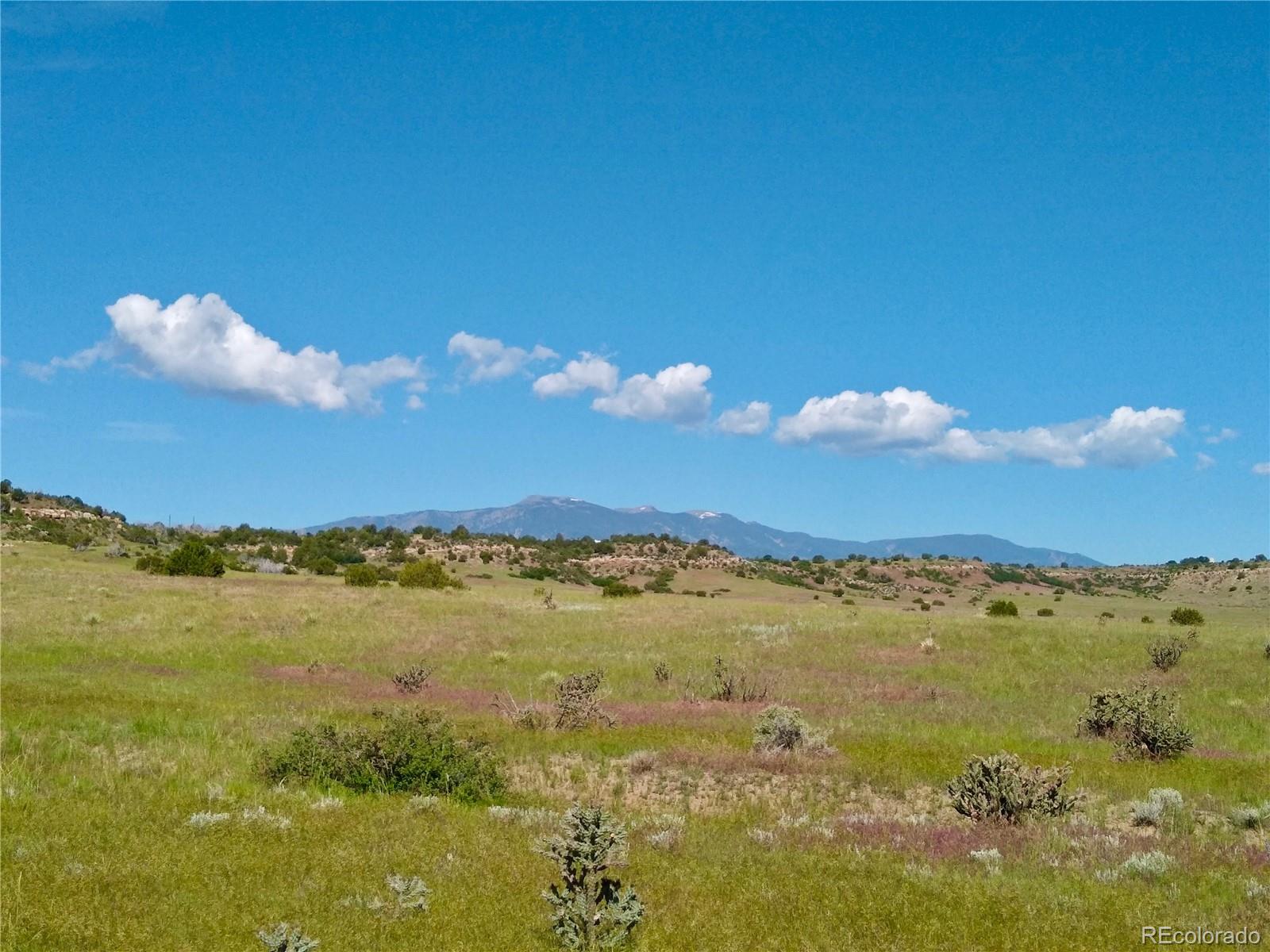 0 County 113 Lane Rye, CO 81069 - Photo 11 of 50