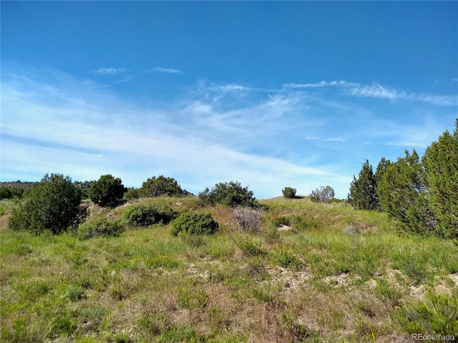 0 County 113 Lane Rye, CO 81069 - Photo 13 of 50