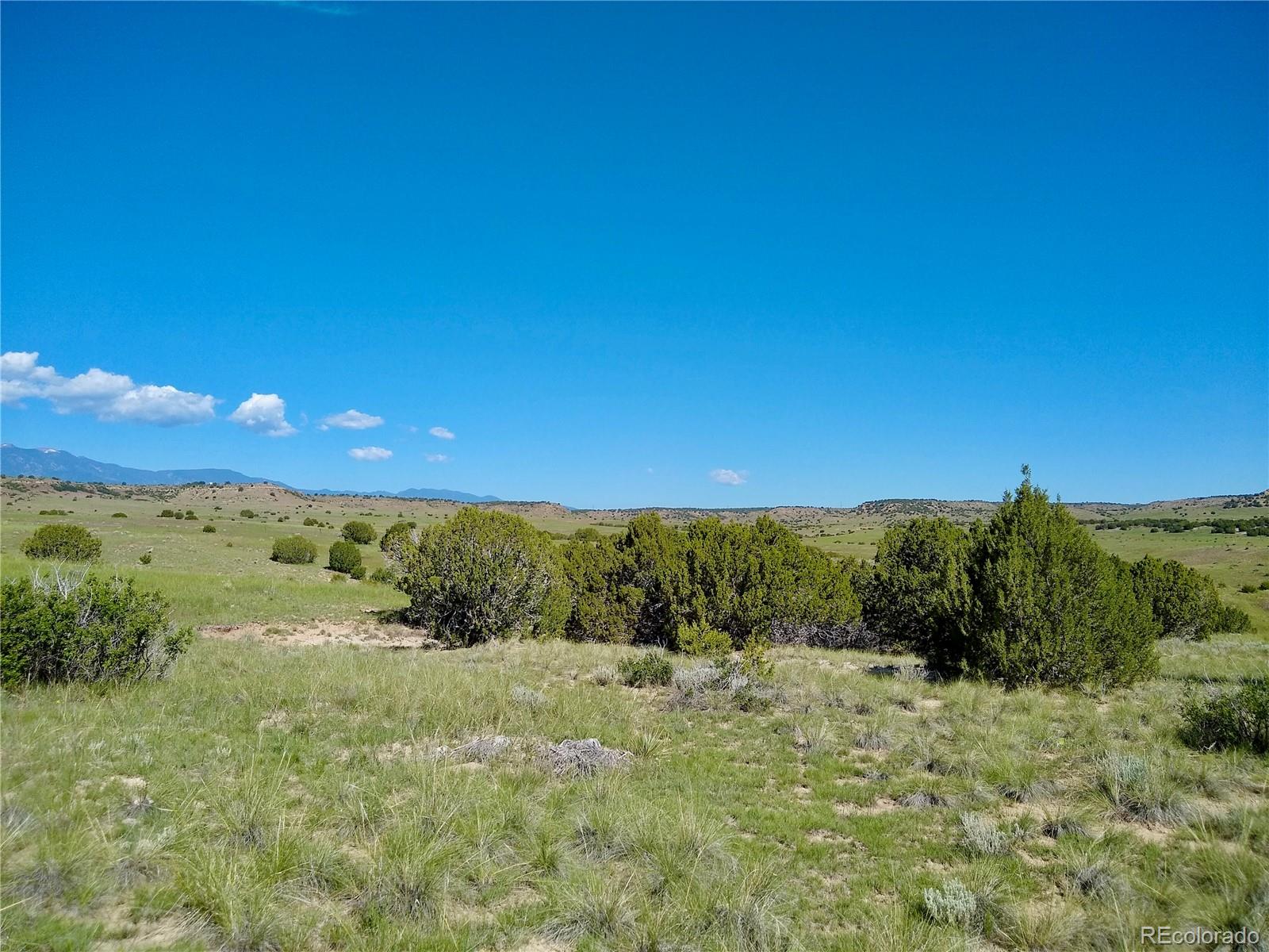 0 County 113 Lane Rye, CO 81069 - Photo 16 of 50