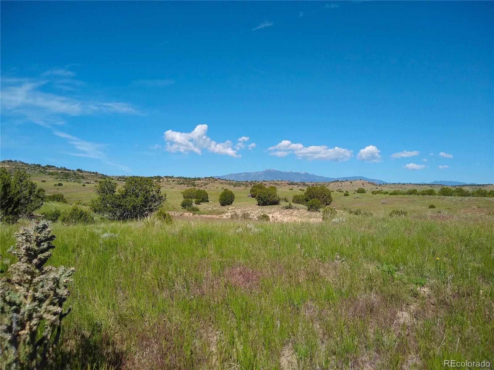 0 County 113 Lane Rye, CO 81069 - Photo 17 of 50
