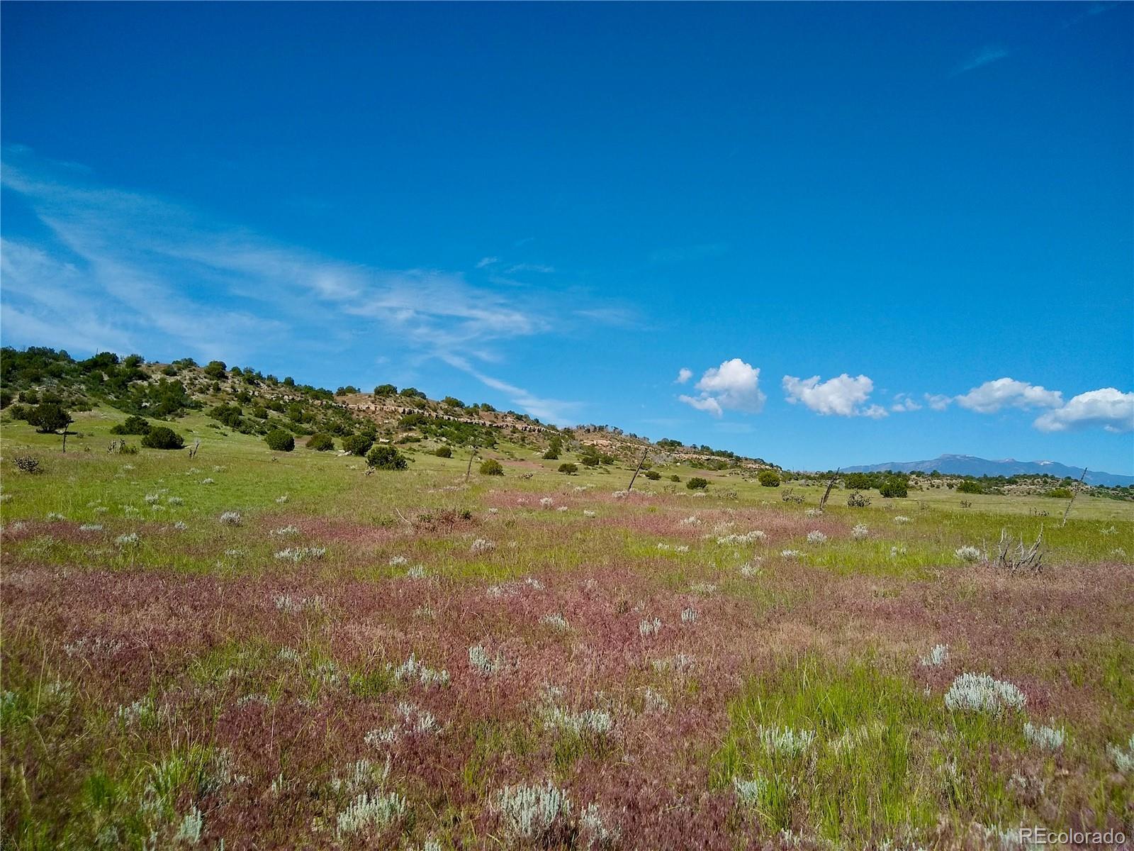 0 County 113 Lane Rye, CO 81069 - Photo 19 of 50