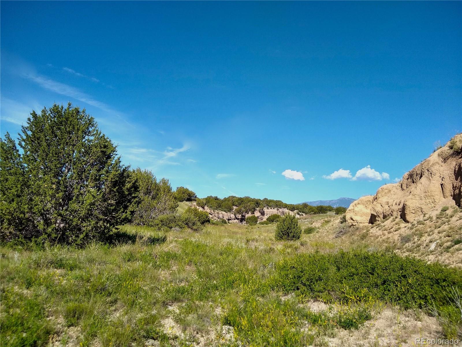 0 County 113 Lane Rye, CO 81069 - Photo 20 of 50