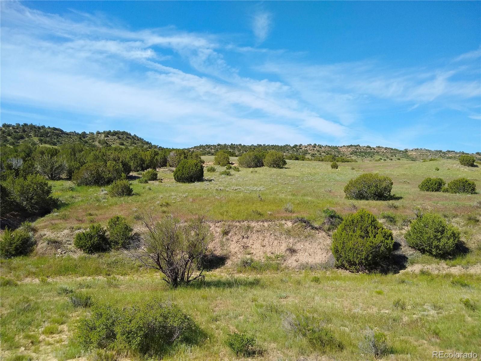 0 County 113 Lane Rye, CO 81069 - Photo 2 of 50