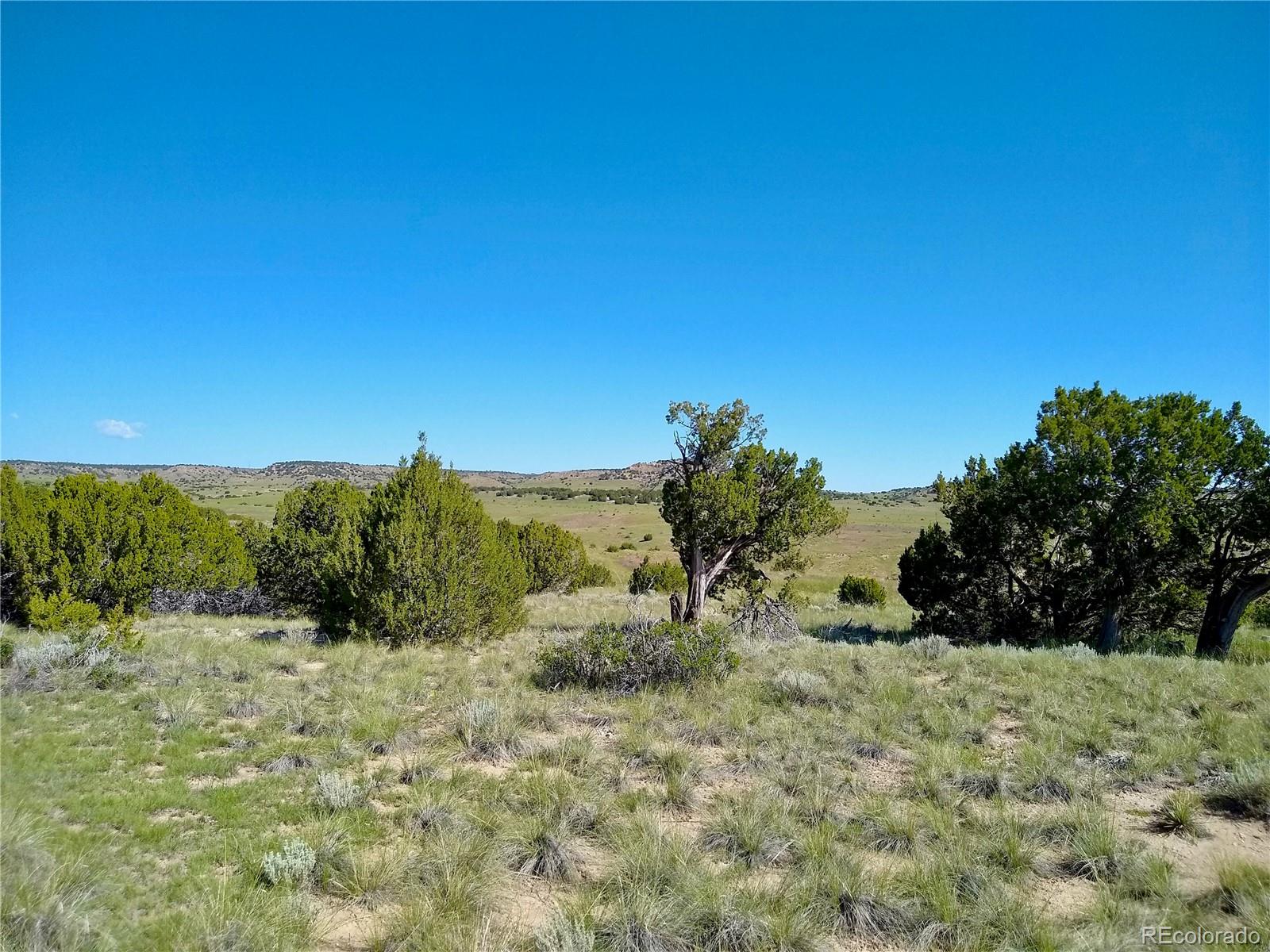 0 County 113 Lane Rye, CO 81069 - Photo 21 of 50