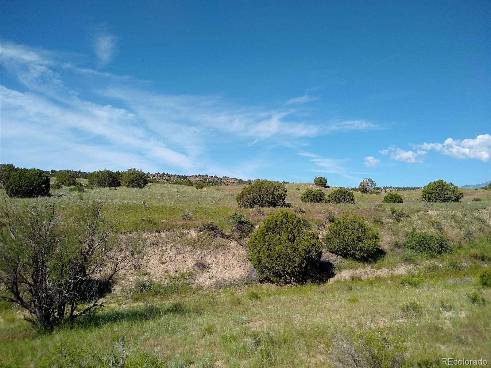 0 County 113 Lane Rye, CO 81069 - Photo 28 of 50
