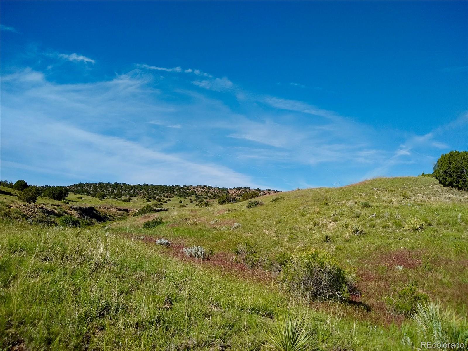 0 County 113 Lane Rye, CO 81069 - Photo 29 of 50