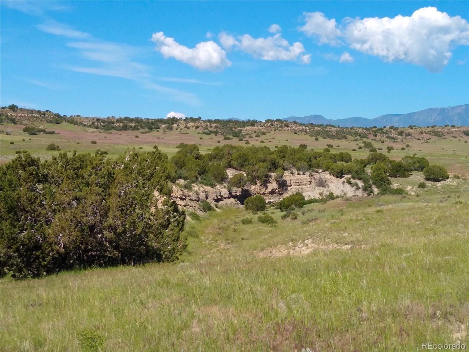 0 County 113 Lane Rye, CO 81069 - Photo 30 of 50