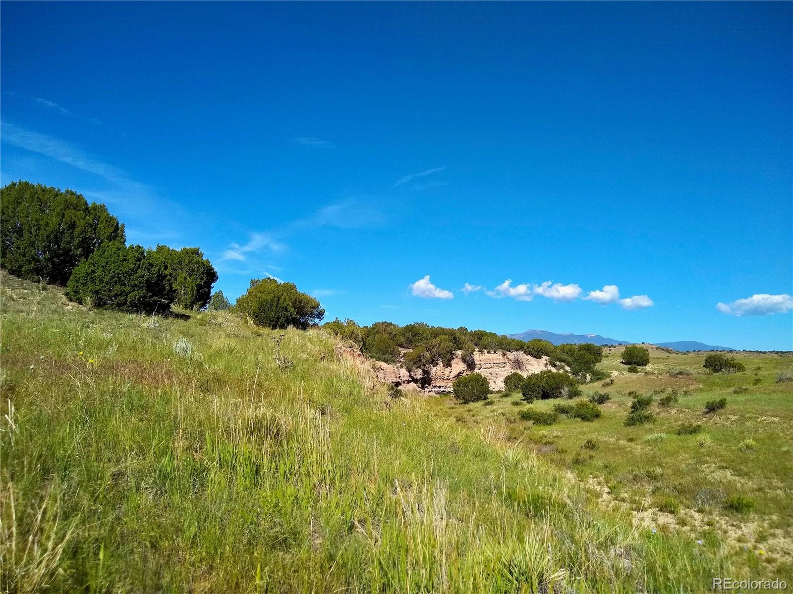 0 County 113 Lane Rye, CO 81069 - Photo 3 of 50