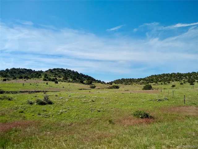 a view of a large tree with a mountain in the background