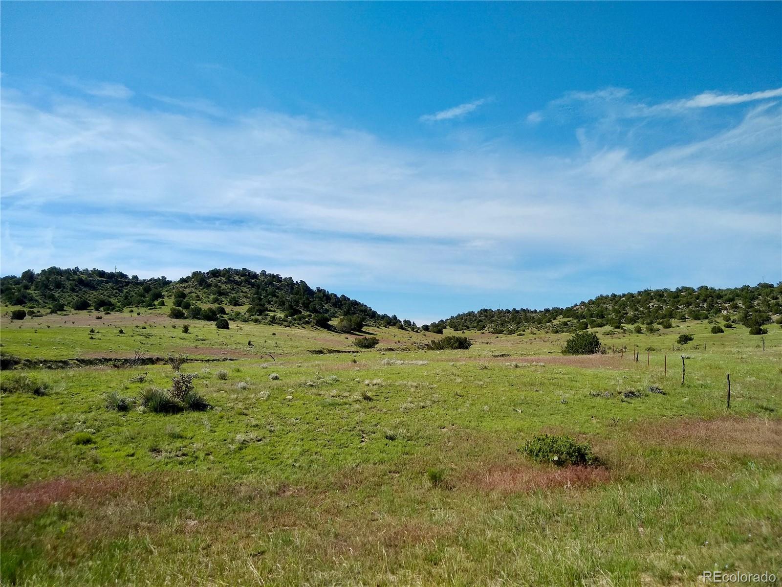 0 County 113 Lane Rye, CO 81069 - Photo 31 of 50