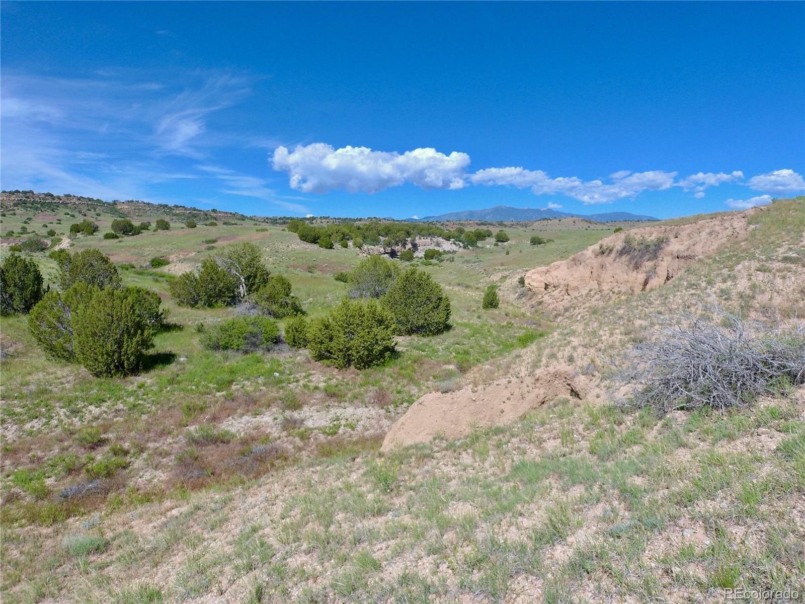 0 County 113 Lane Rye, CO 81069 - Photo 32 of 50