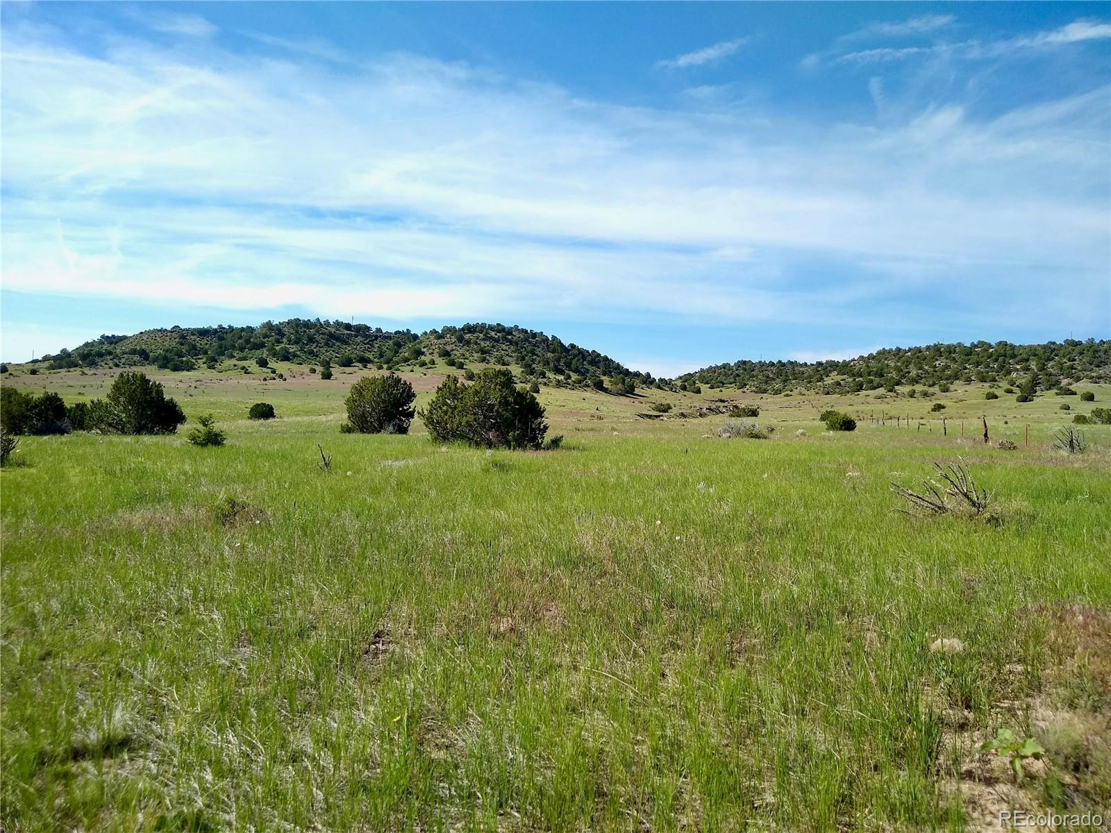 0 County 113 Lane Rye, CO 81069 - Photo 36 of 50