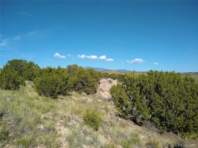 a view of a dry yard