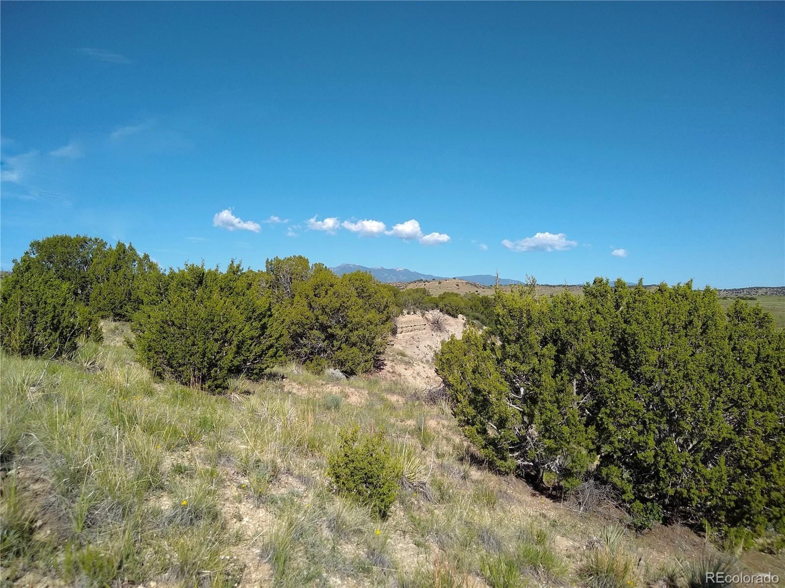 0 County 113 Lane Rye, CO 81069 - Photo 37 of 50