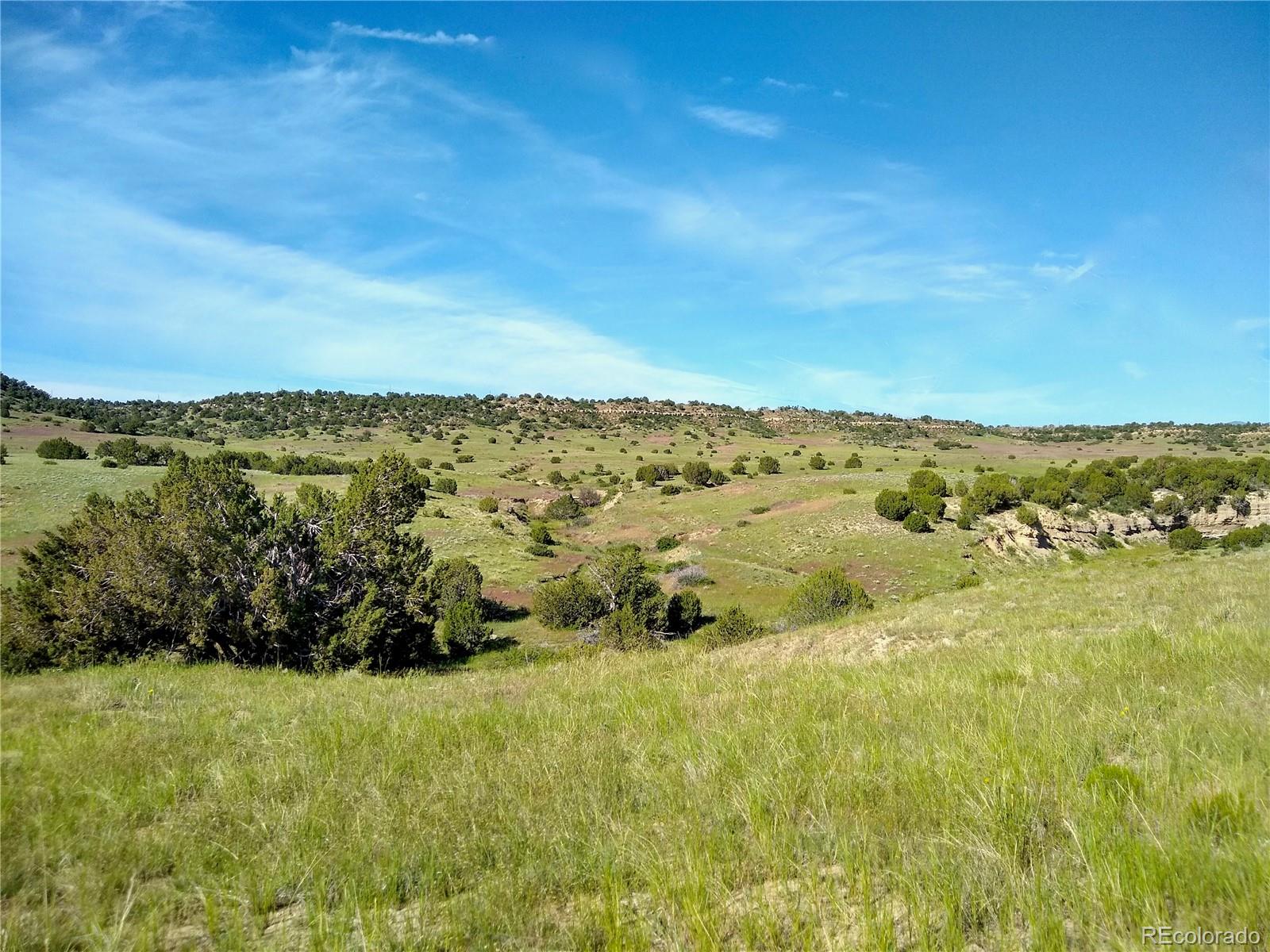 0 County 113 Lane Rye, CO 81069 - Photo 39 of 50