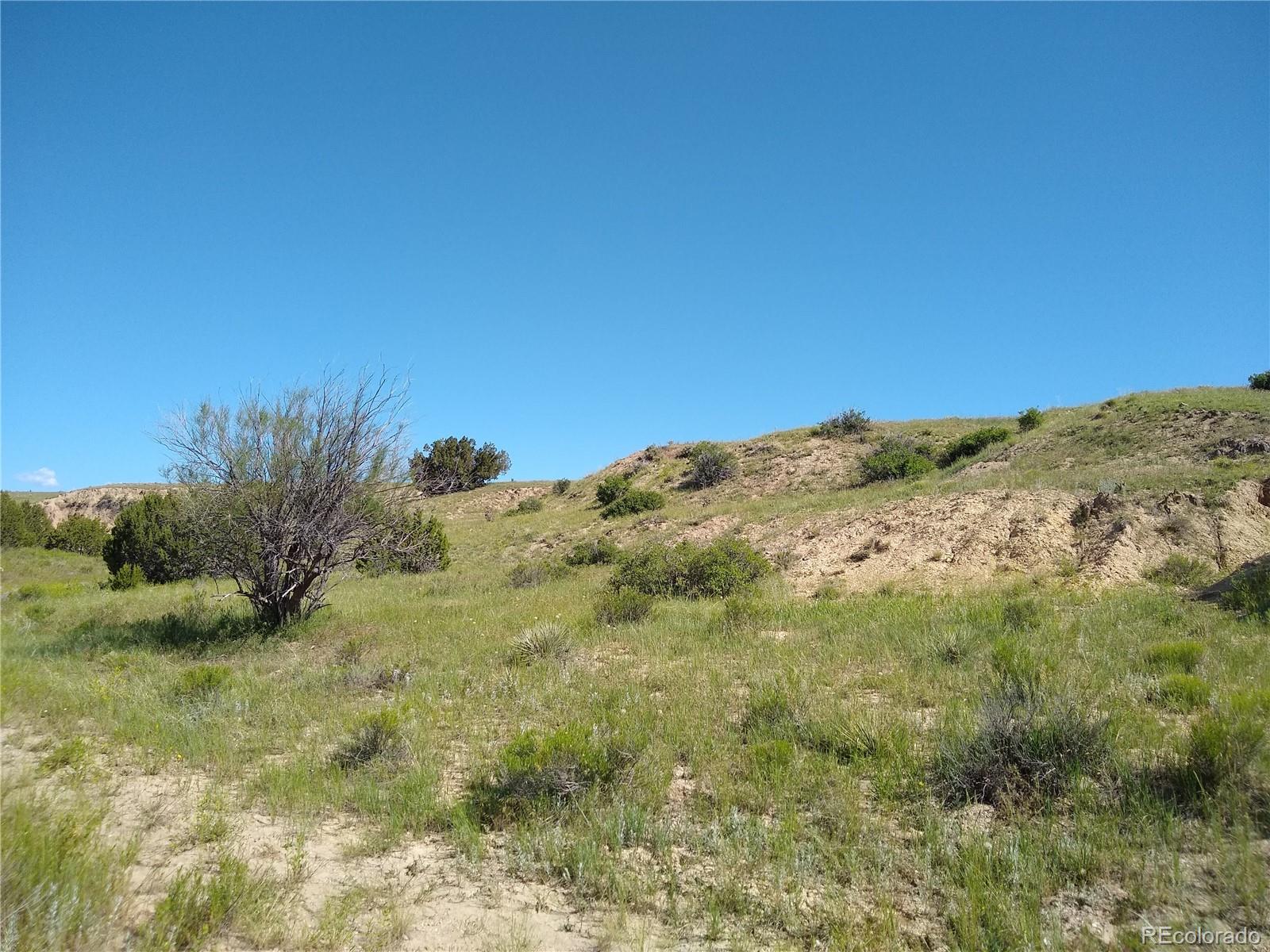 0 County 113 Lane Rye, CO 81069 - Photo 40 of 50