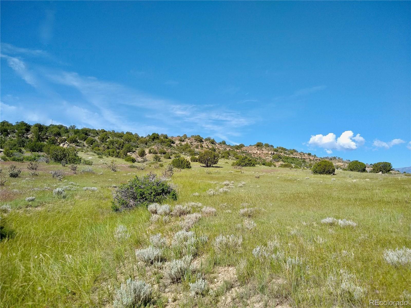 0 County 113 Lane Rye, CO 81069 - Photo 42 of 50