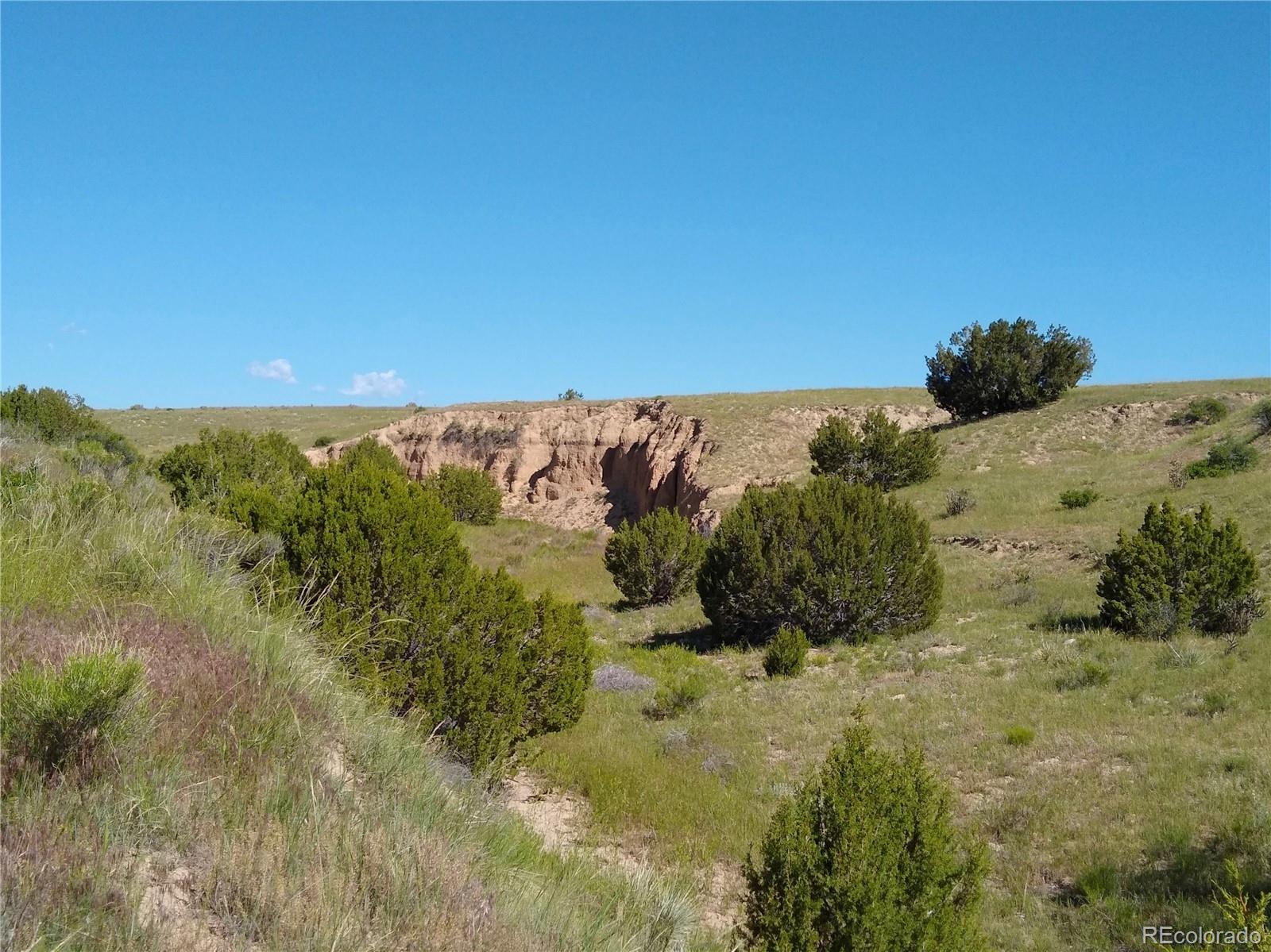 0 County 113 Lane Rye, CO 81069 - Photo 44 of 50