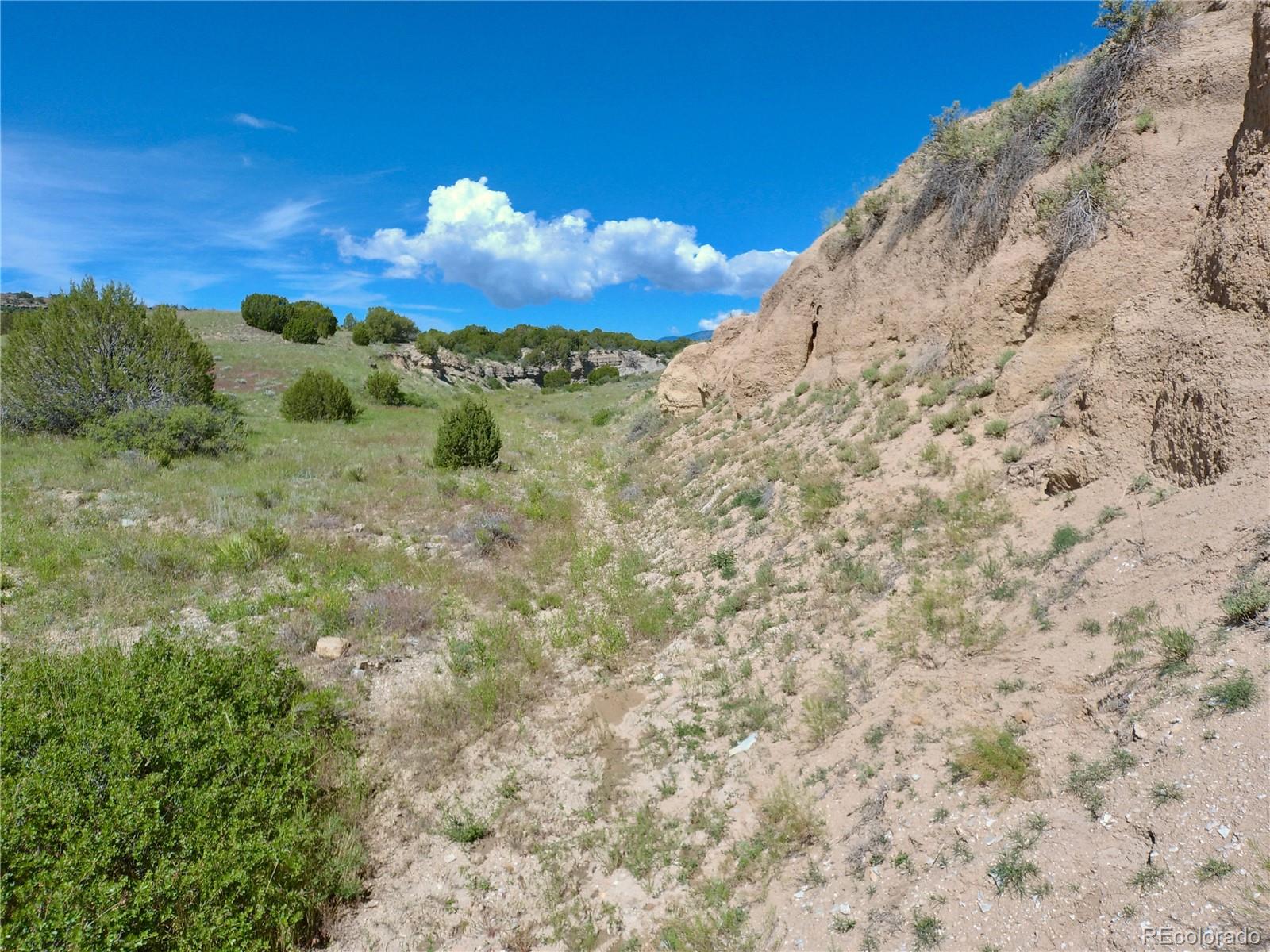 0 County 113 Lane Rye, CO 81069 - Photo 45 of 50