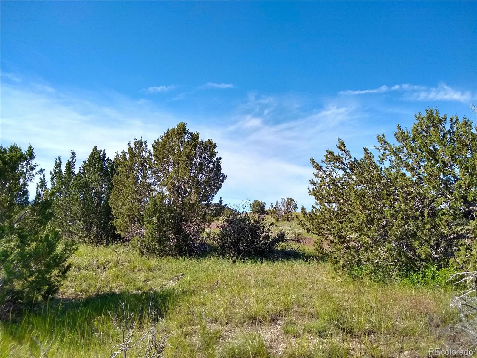 0 County 113 Lane Rye, CO 81069 - Photo 46 of 50