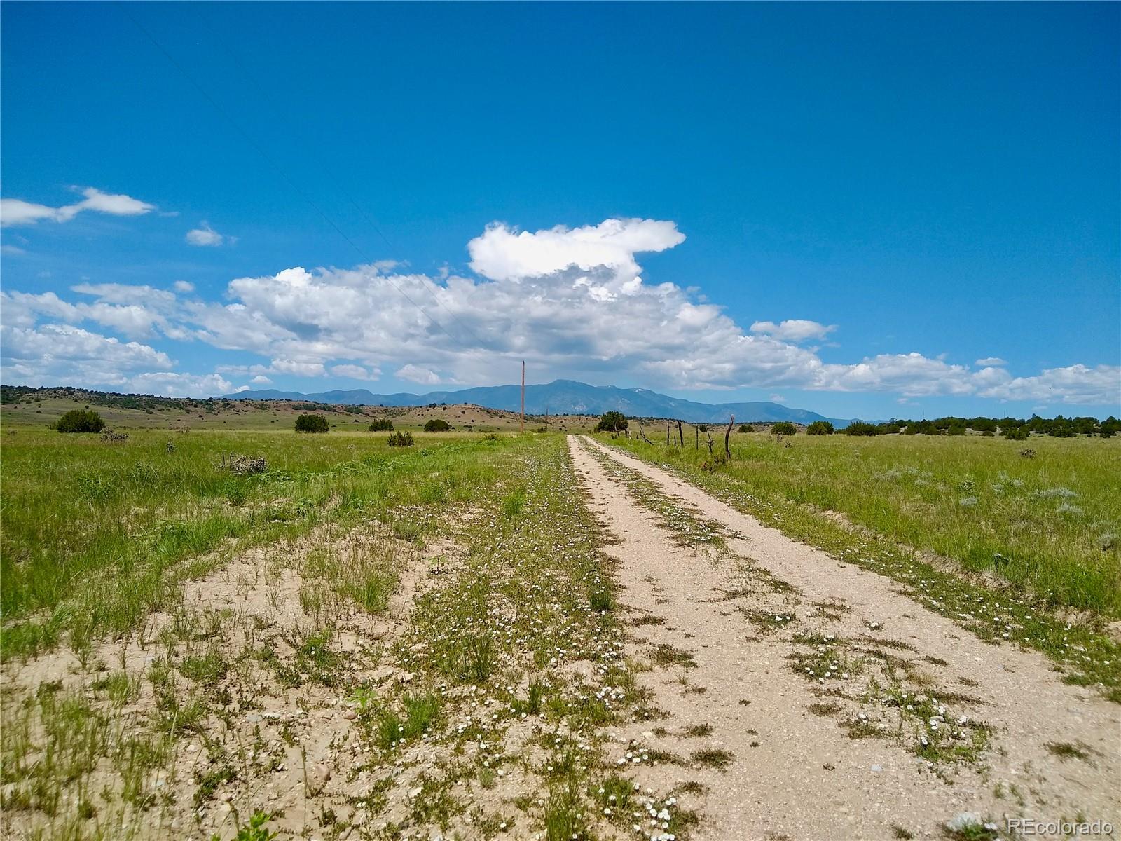 0 County 113 Lane Rye, CO 81069 - Photo 48 of 50