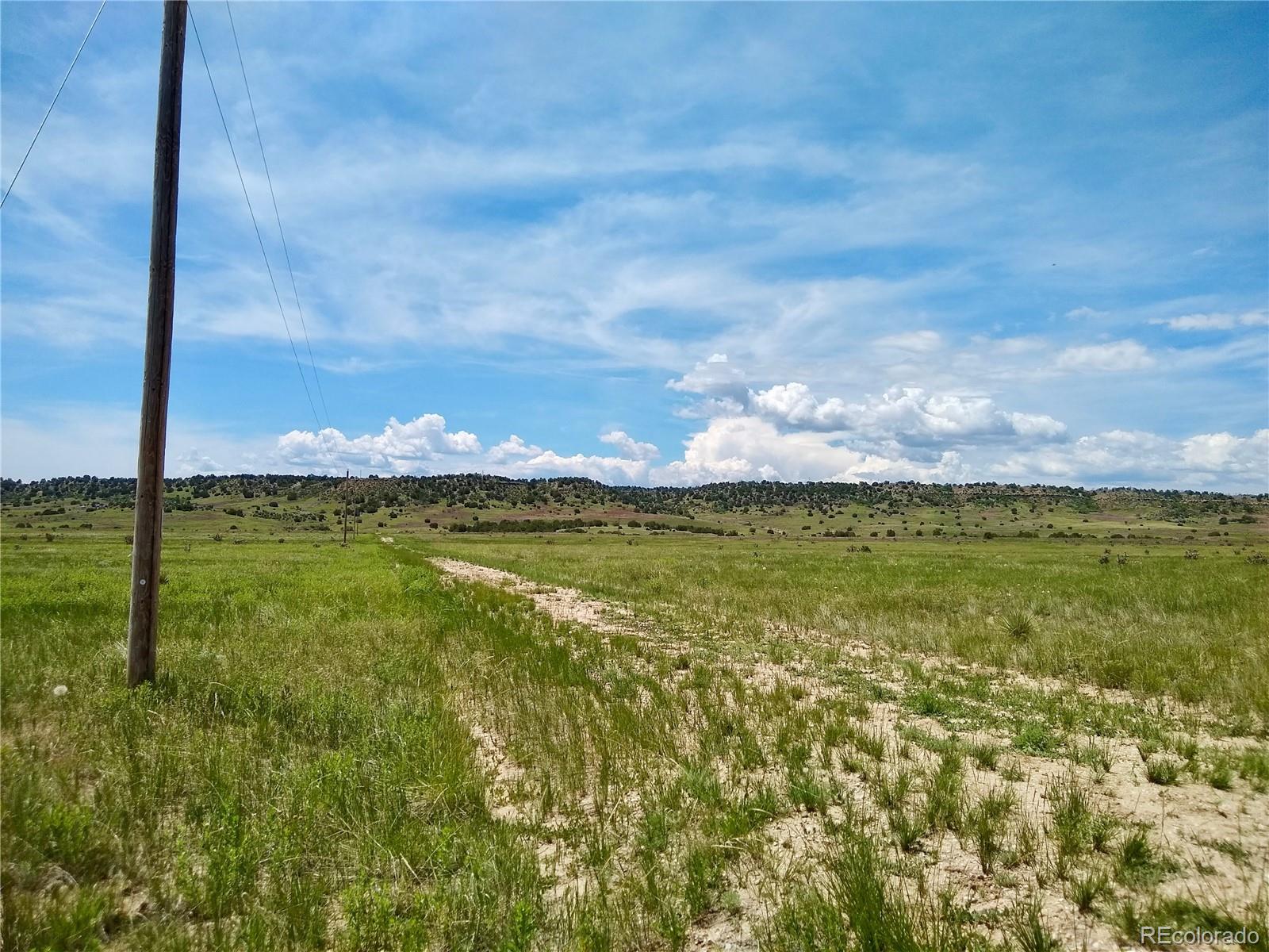 0 County 113 Lane Rye, CO 81069 - Photo 49 of 50